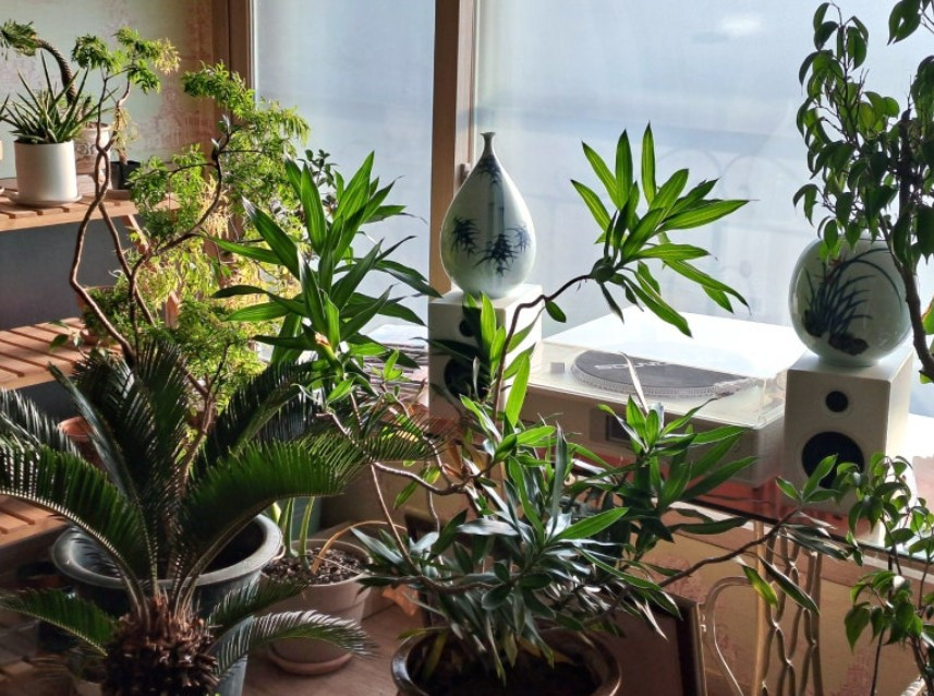 화면 캡처 2026-03-01 105123.jpg