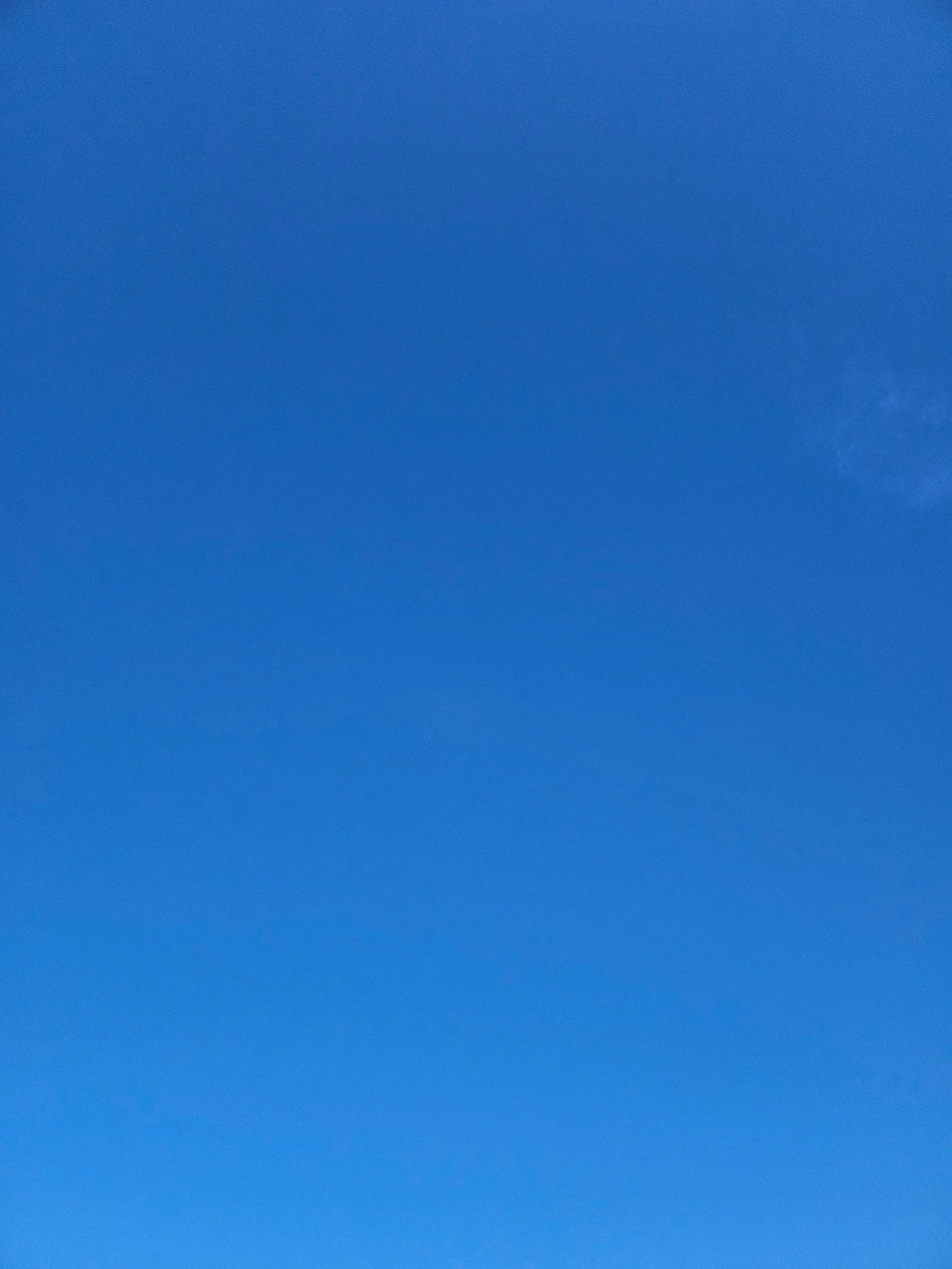 파란 하늘.jpg