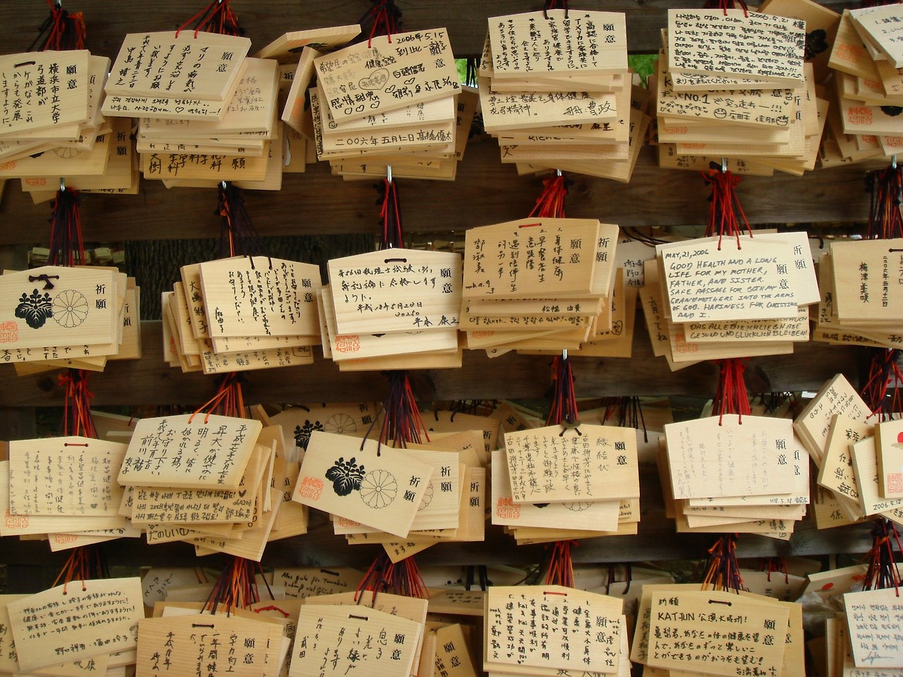 lily-tsutsumida-SjeBDb6cTtc-unsplash.jpg