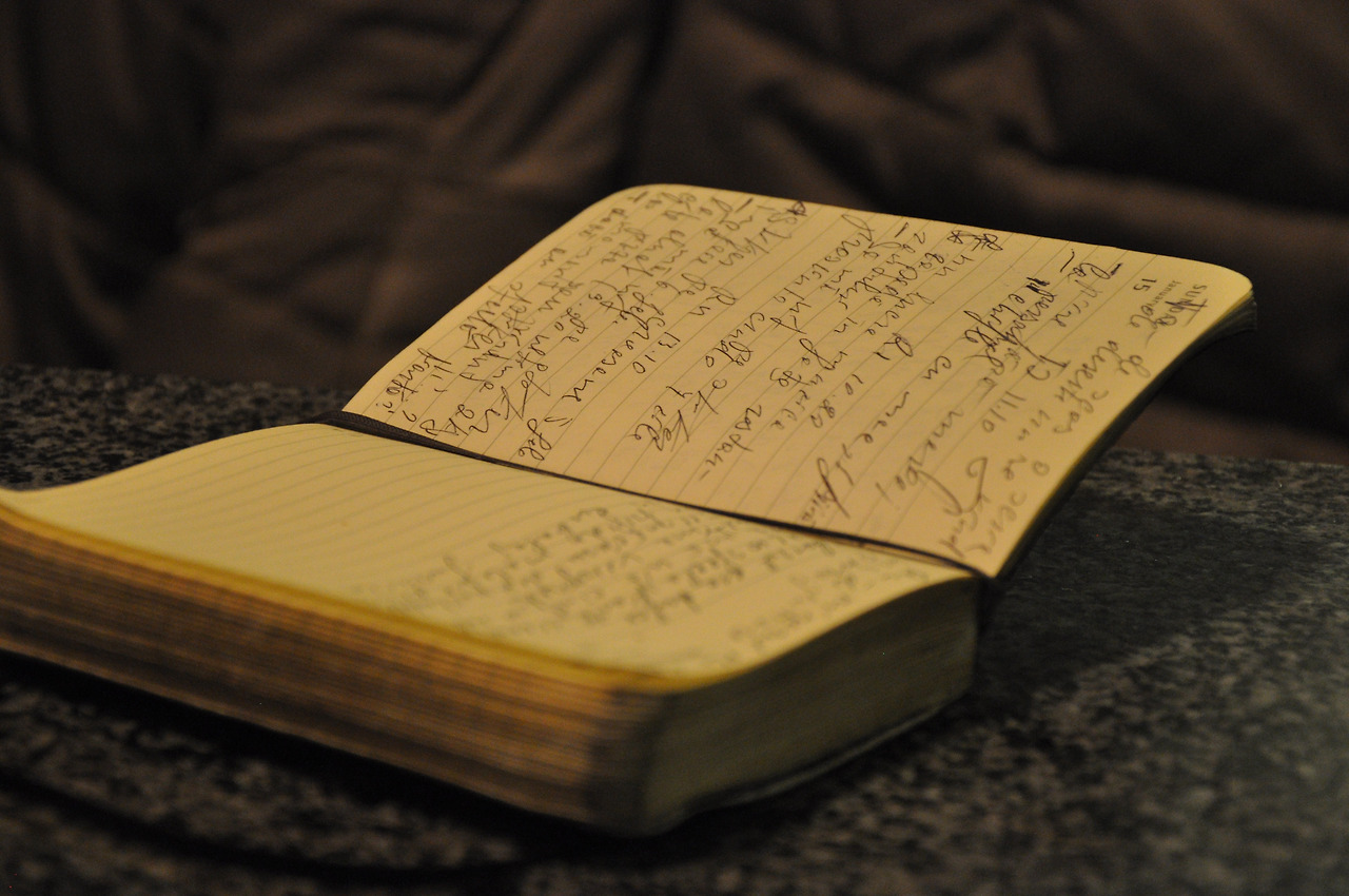 mandarinmd-book-2415932.jpg