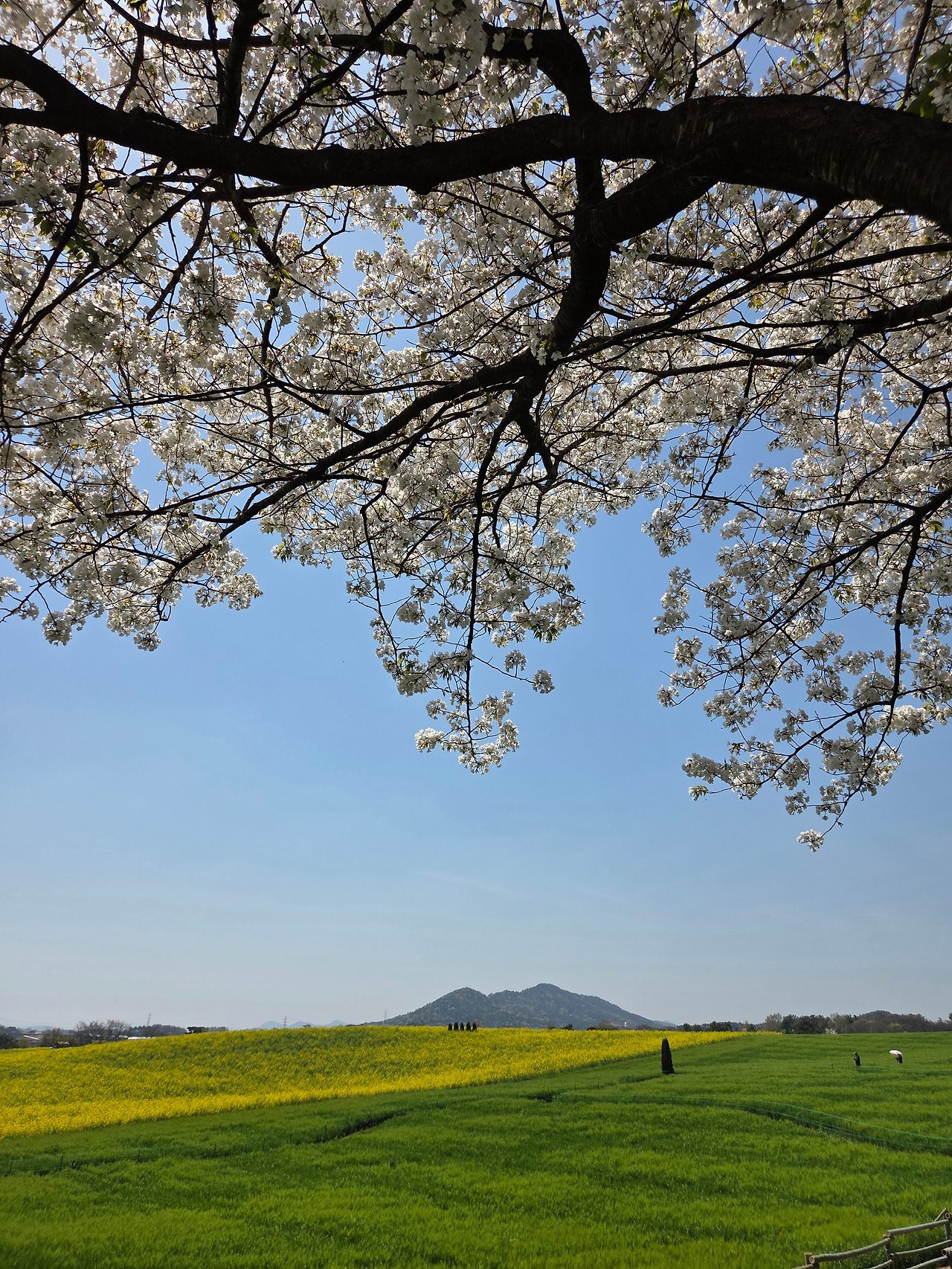 KakaoTalk_20260416_215836626_07 - 복사본.jpg