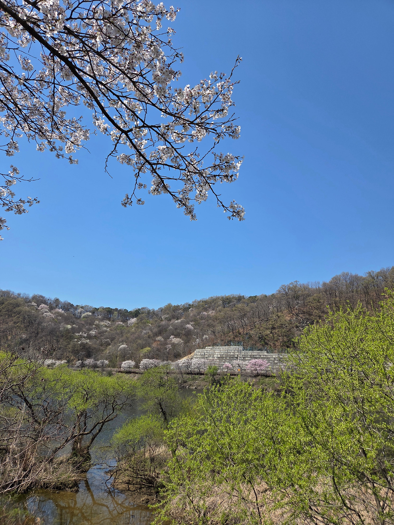 KakaoTalk_20260409_222747109 (1).jpg