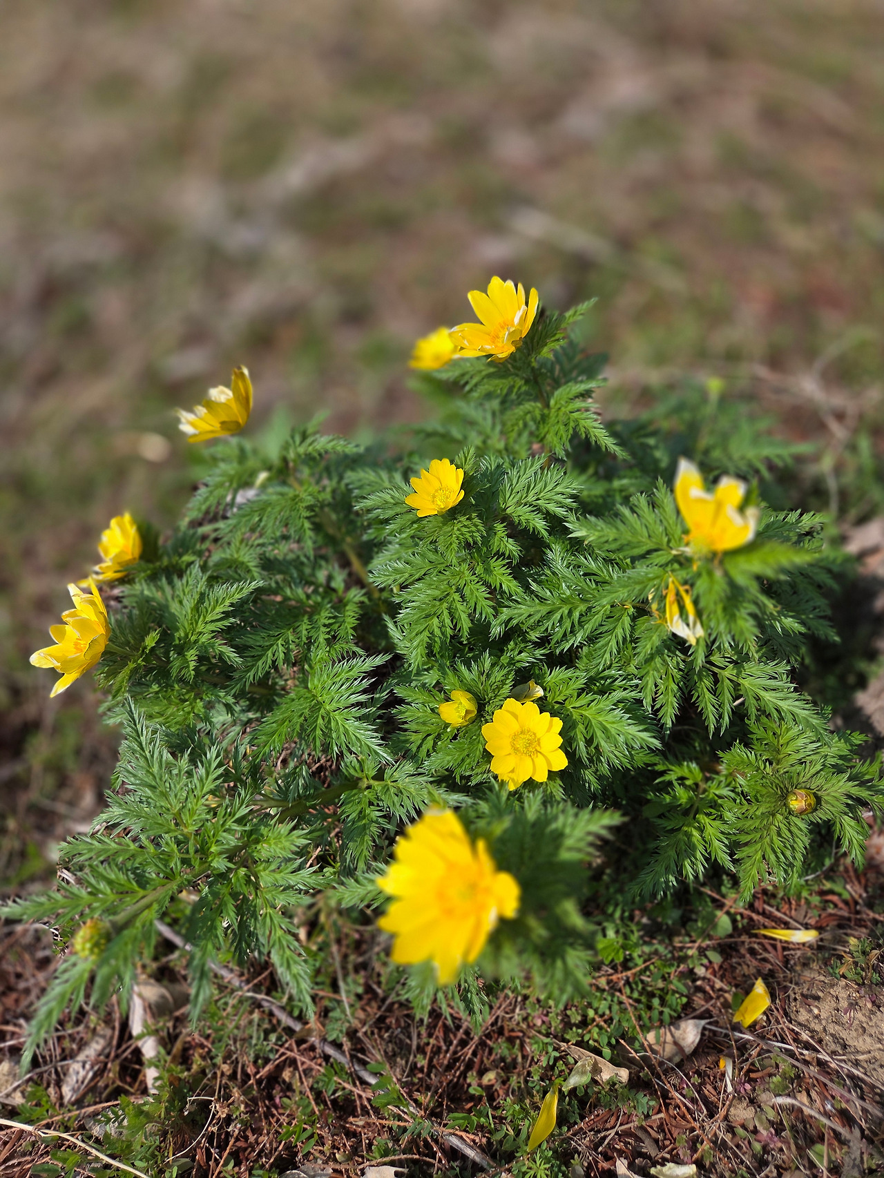 KakaoTalk_20260326_154932607 (1).jpg