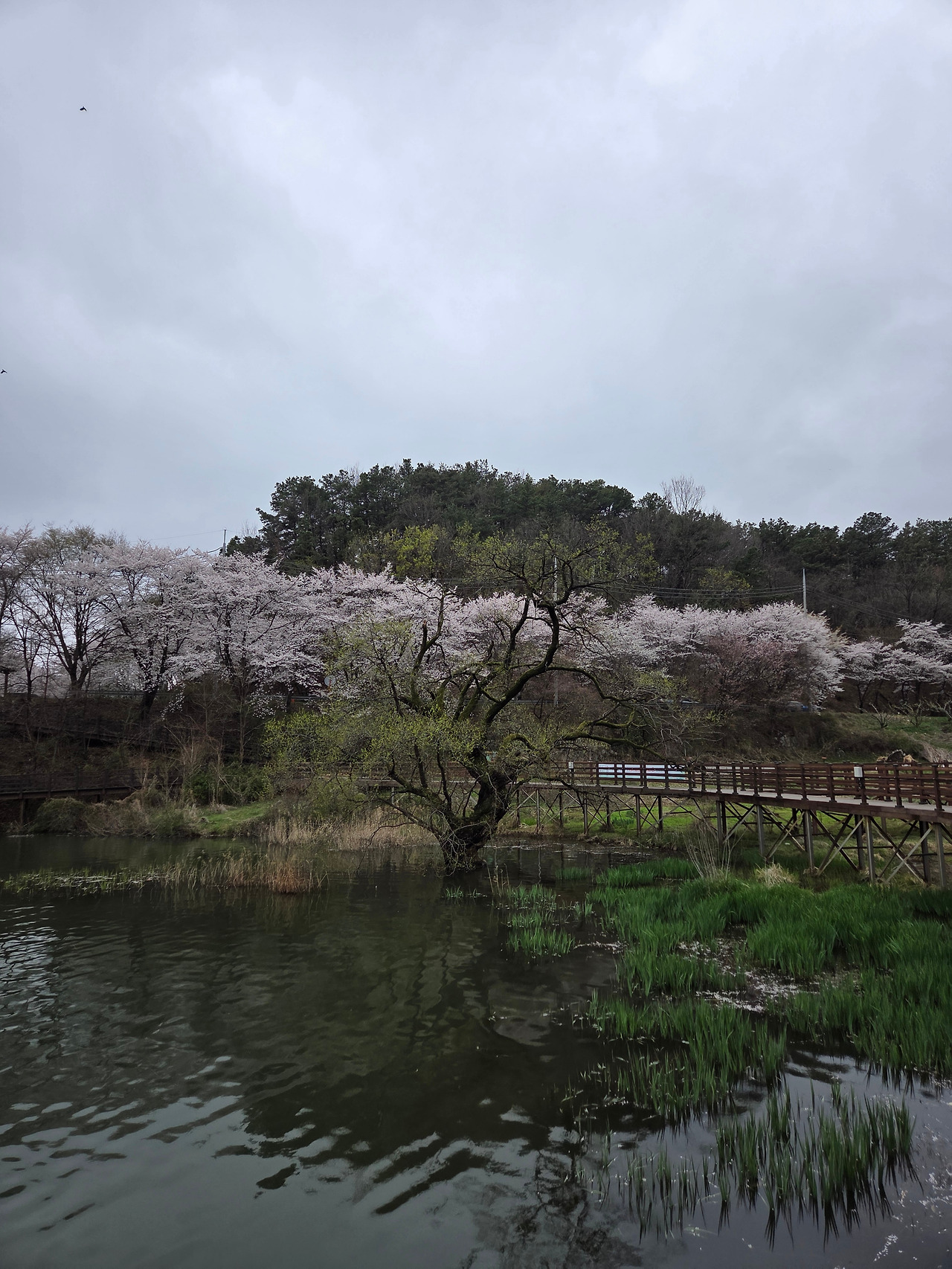 KakaoTalk_20260414_202312464_20.jpg