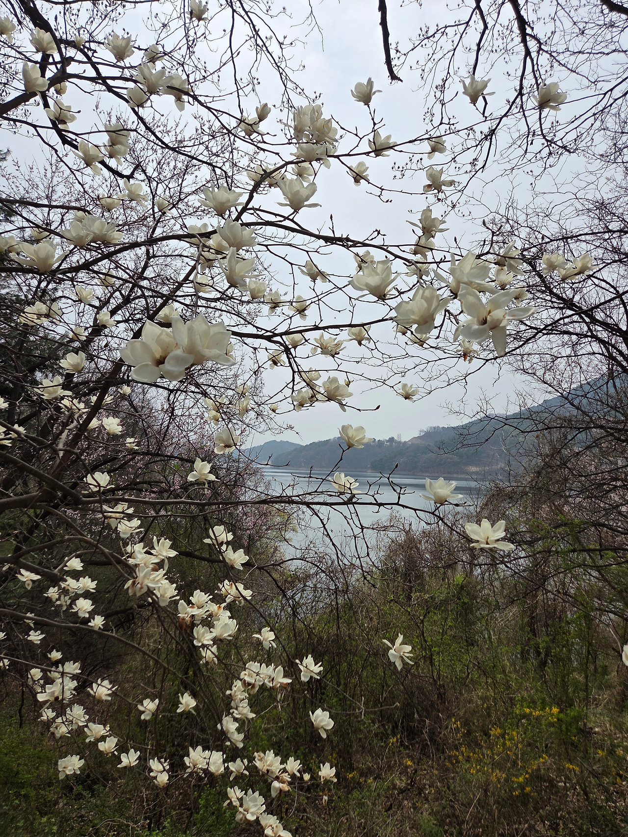 KakaoTalk_20260405_121318876_01.jpg