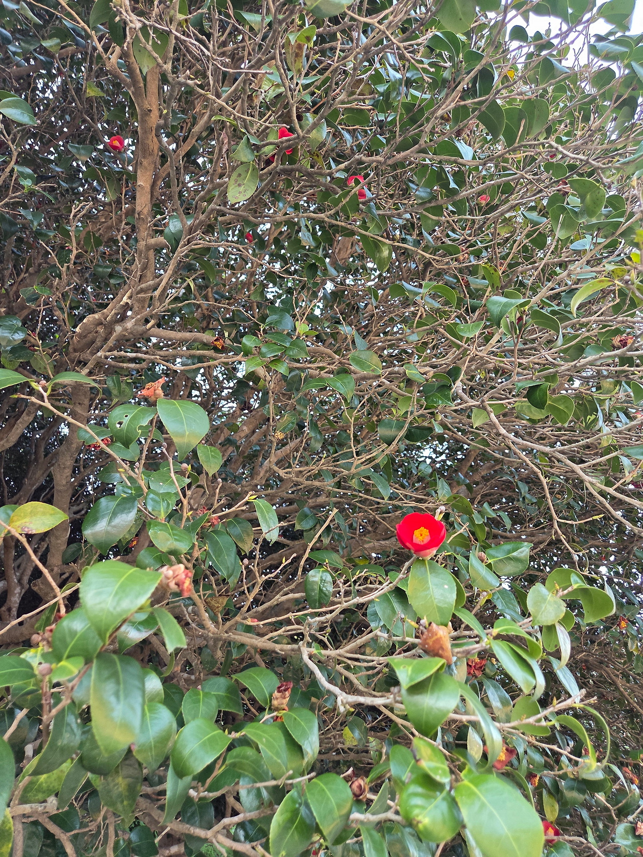 KakaoTalk_20260416_220158497_22.jpg