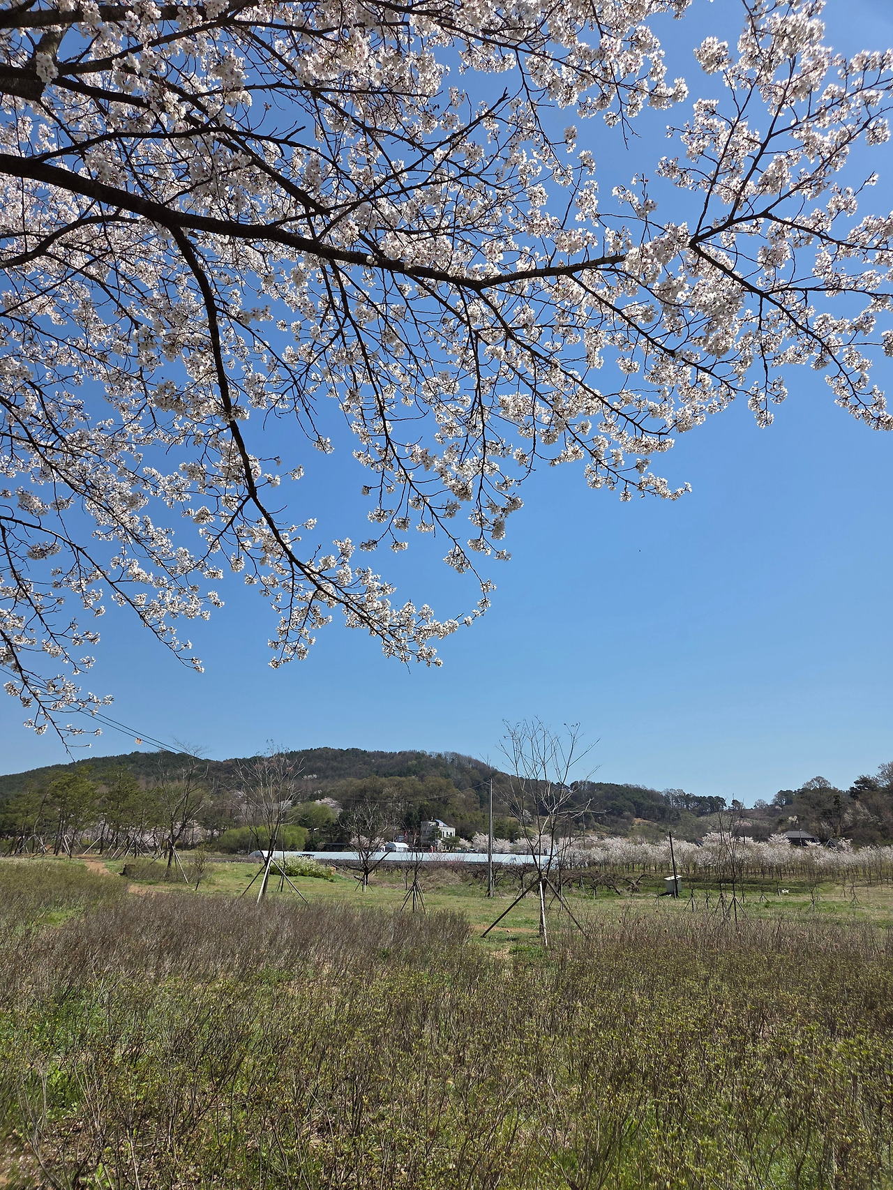 KakaoTalk_20260409_222713066_29.jpg