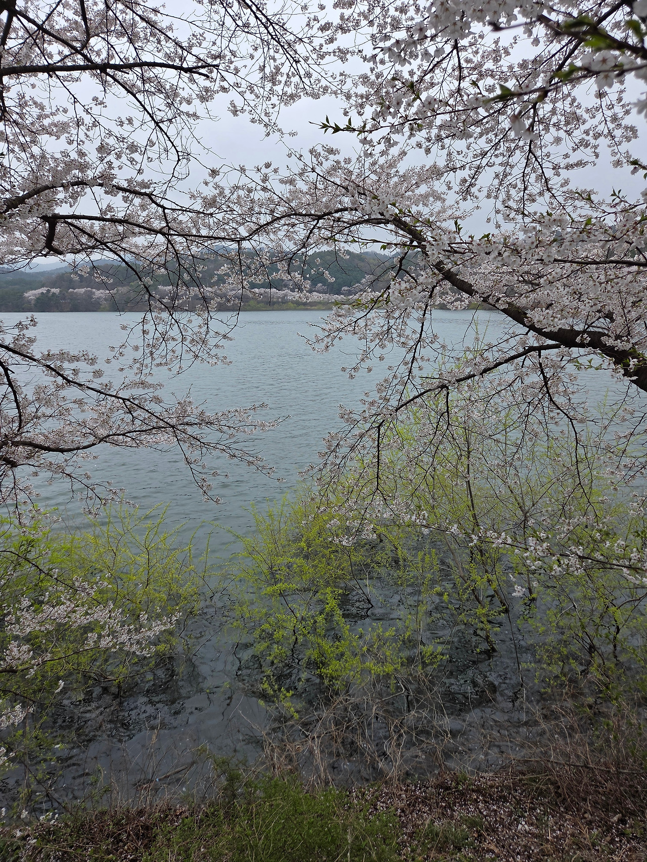 KakaoTalk_20260414_202354289_08.jpg