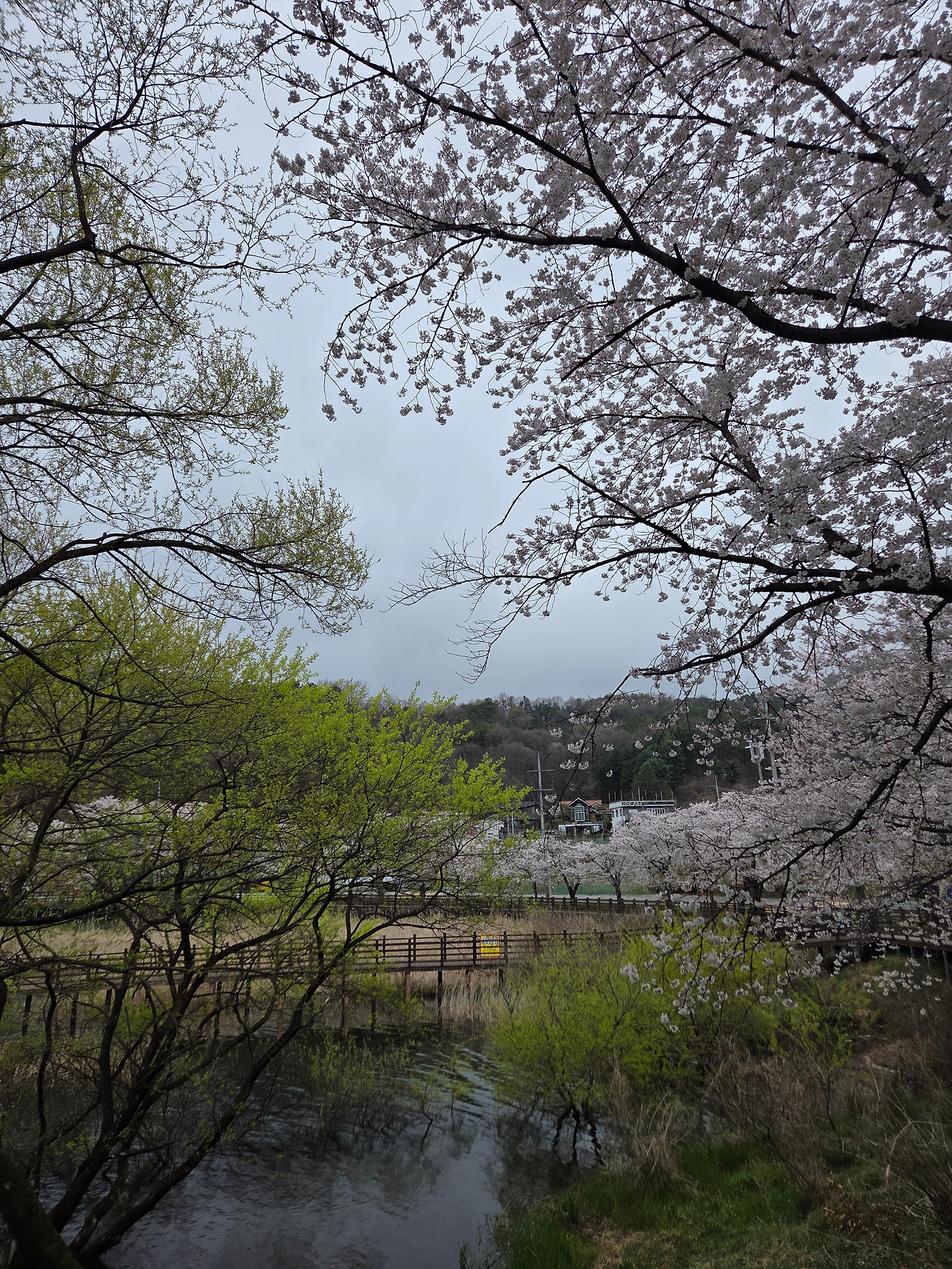 KakaoTalk_20260414_202312464_04.jpg