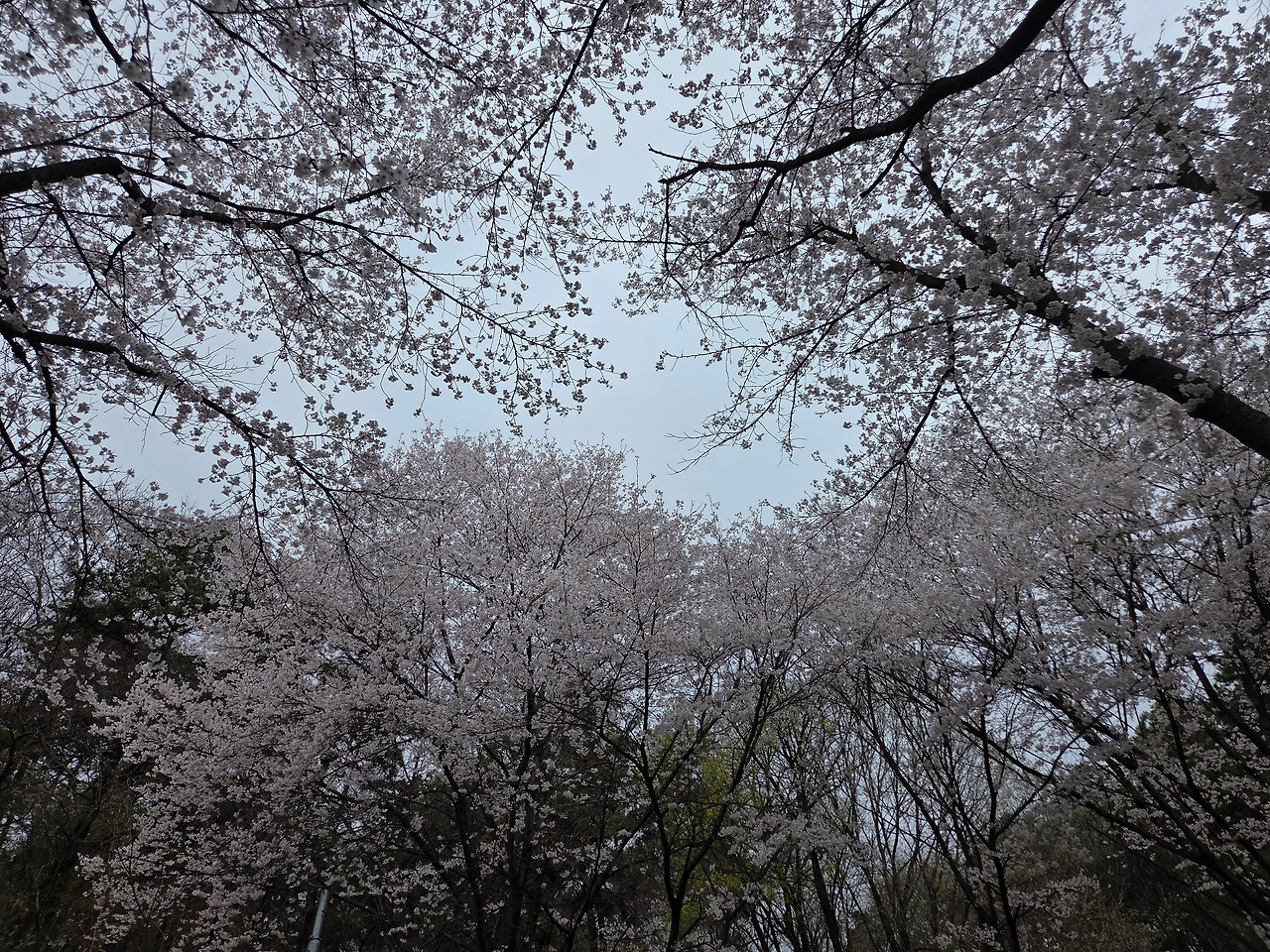 KakaoTalk_20260414_202312464_10.jpg