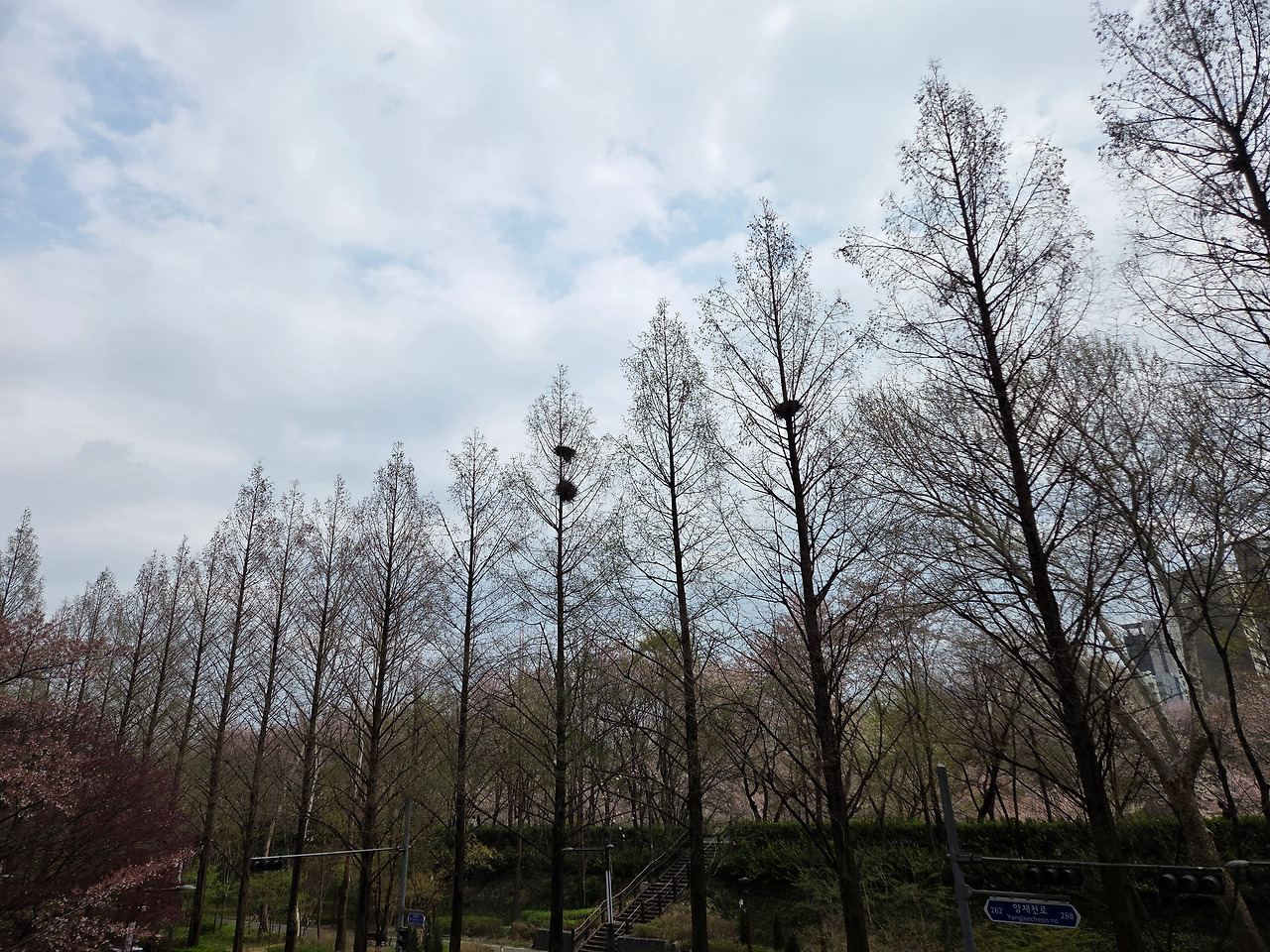 KakaoTalk_20260409_222902458_18 (1).jpg