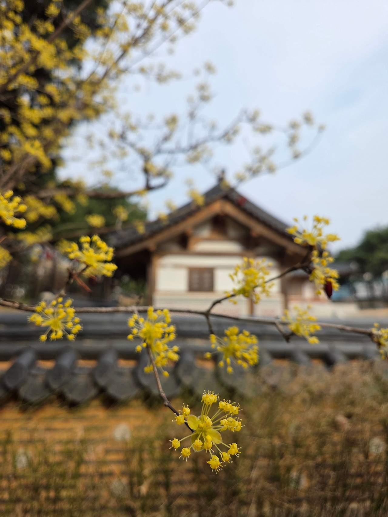 KakaoTalk_20260326_154932607_22 (1).jpg