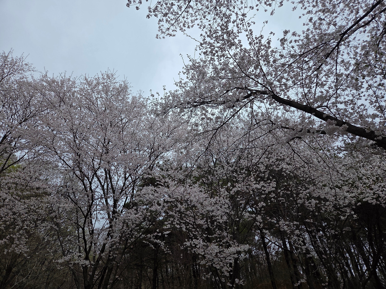 KakaoTalk_20260414_202312464_09.jpg