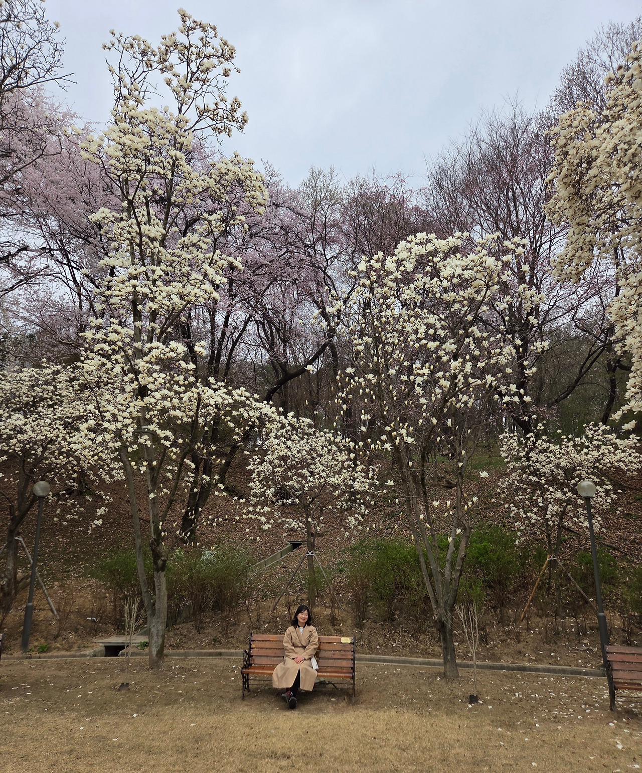 KakaoTalk_20260405_121637414_09.jpg