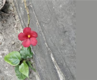 당신의 영원한 흔적-3.jpg