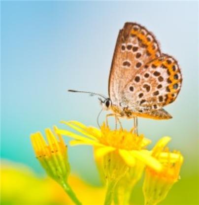 당신의 영원한 흔적-5.jpg