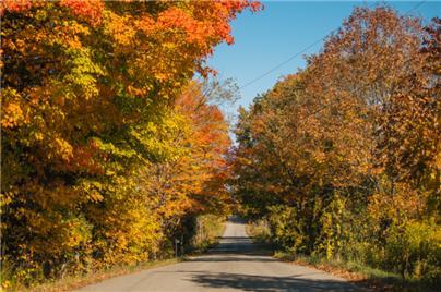당신 영혼은 눈부시게 아름다워라-2.jpg