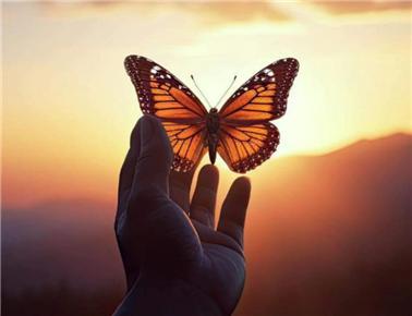 당신 영혼은 눈부시게 아름다워라-5.jpg