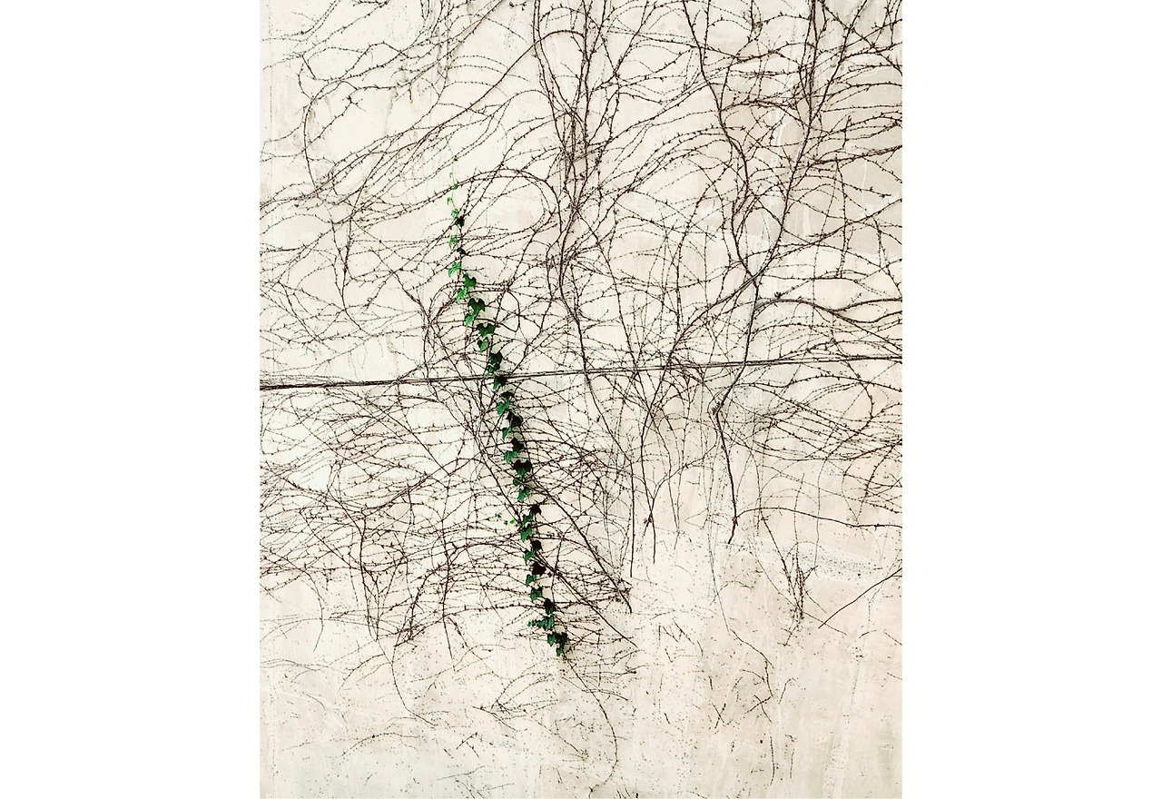 1000034702 (5) (1).jpg