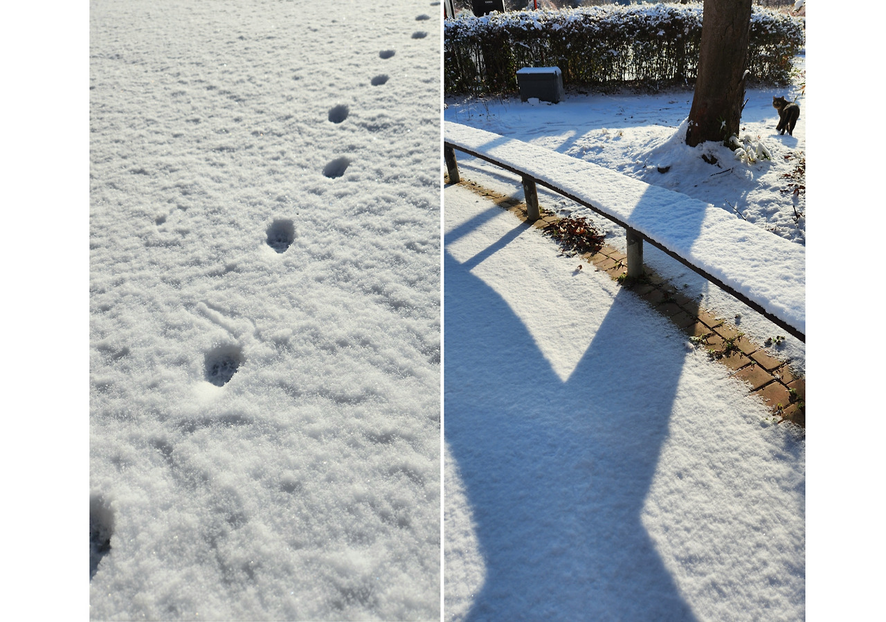 1000032320 (22) (5).jpg