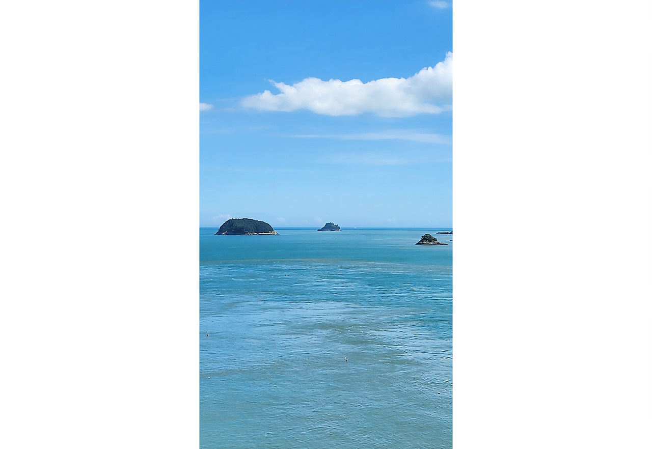 1000034702 (7) (1).jpg