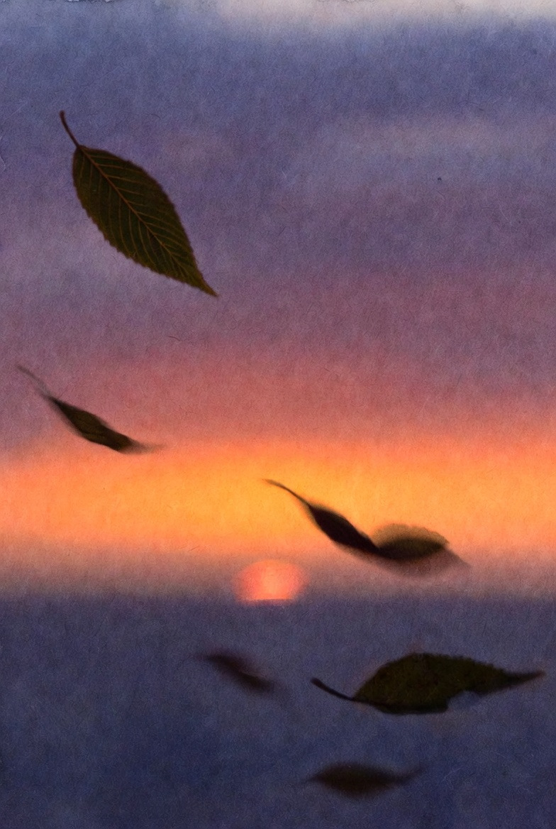 바람에 날리는 나뭇잎과 저녁 하늘.jpg