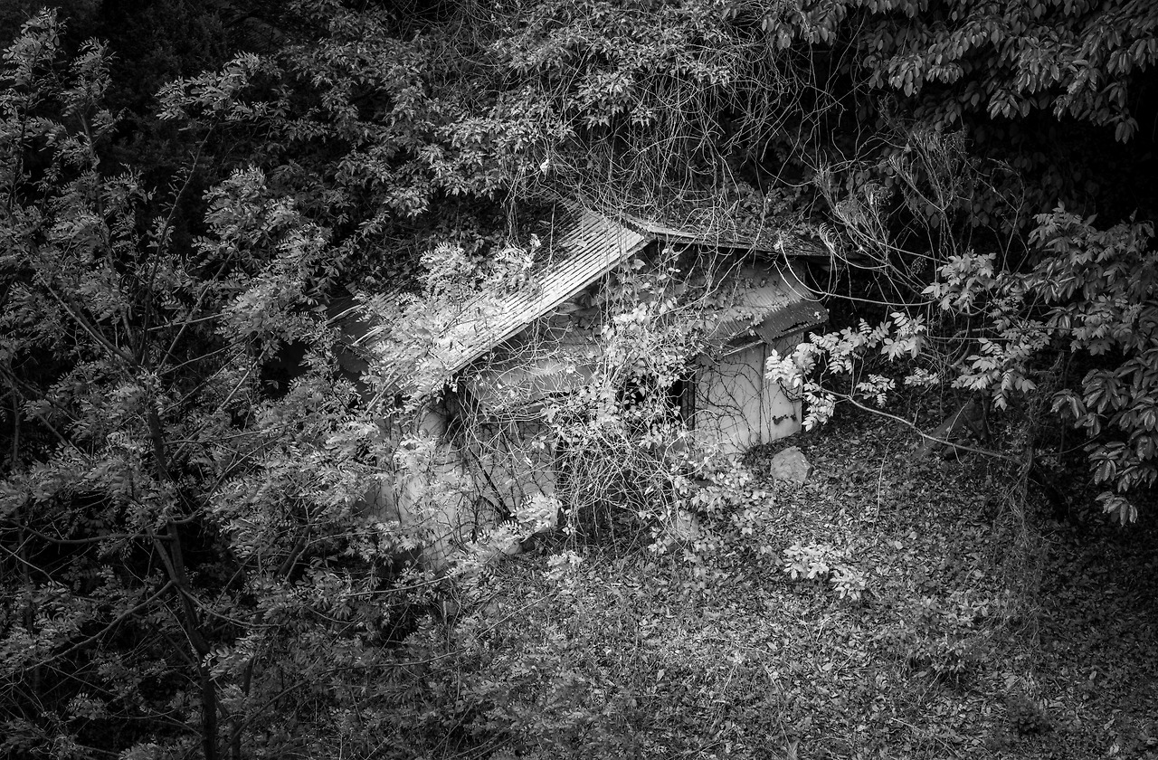 56.본래의 모습으로..jpg