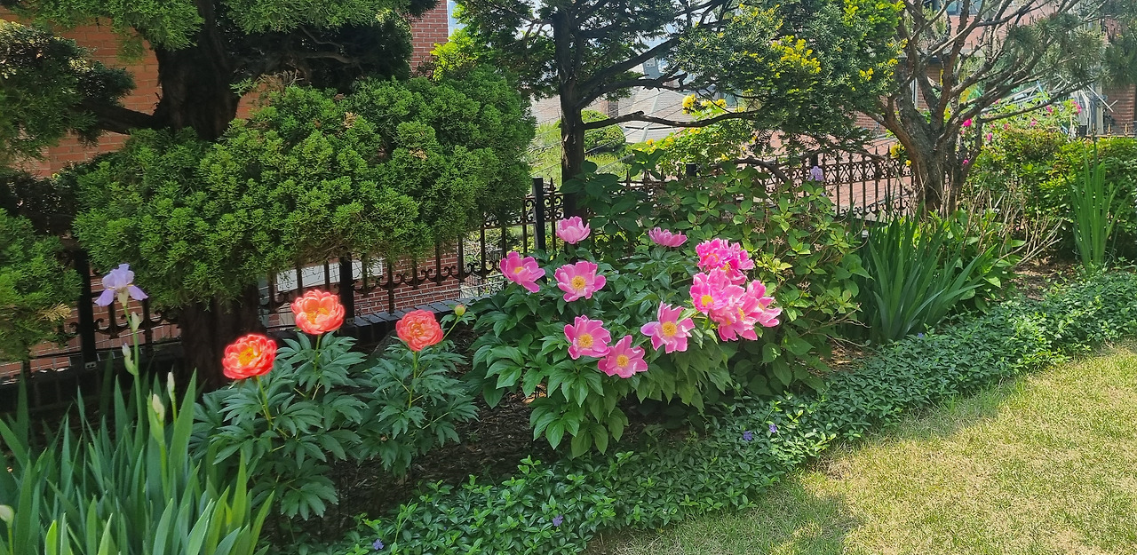 봄 정원 꽃들.jpg