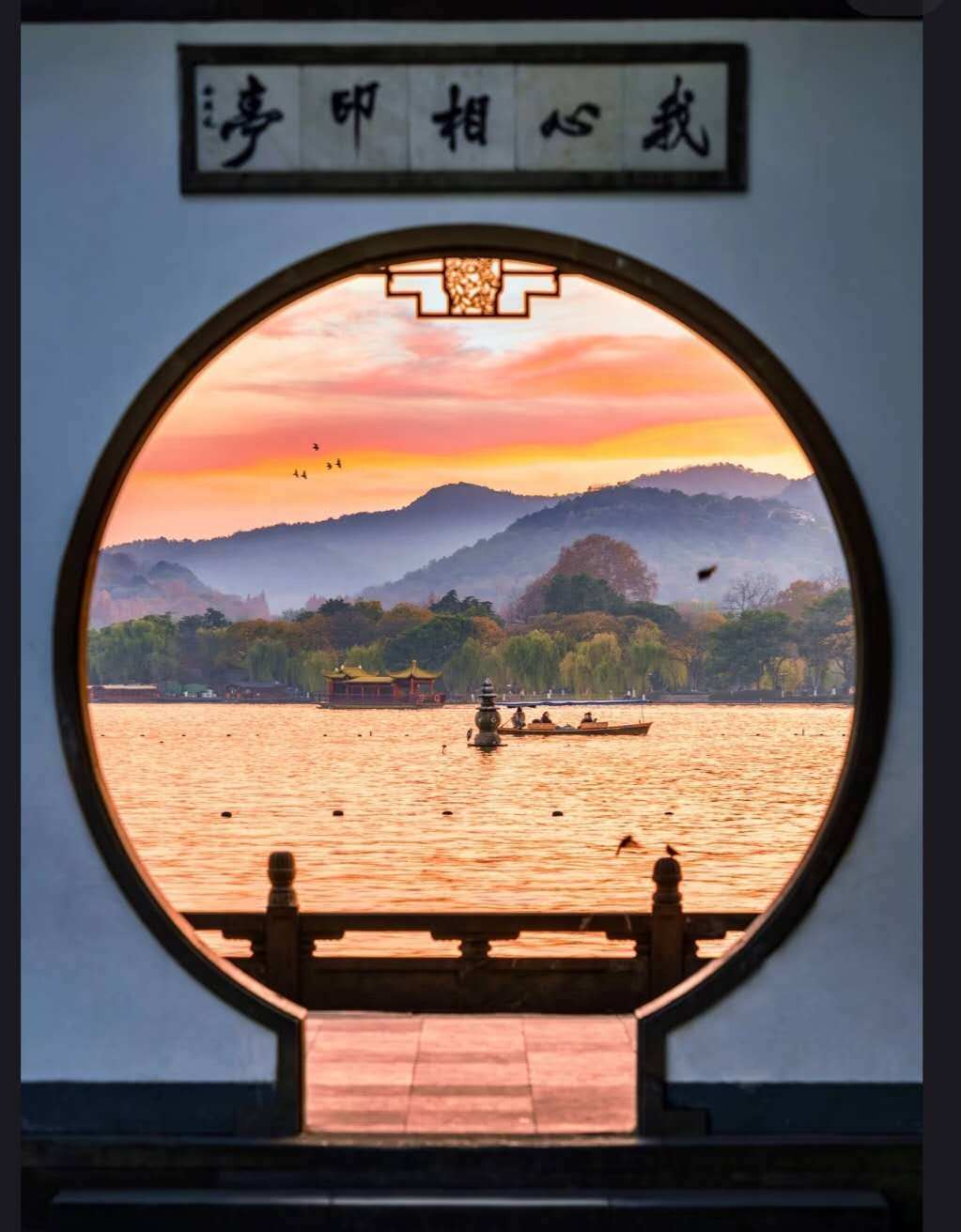 Weixin Image_20260312165603_1234_36.jpg