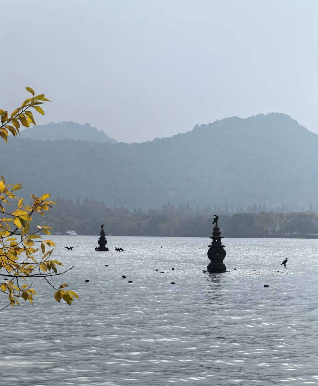 Weixin Image_20260312165612_1250_36.jpg