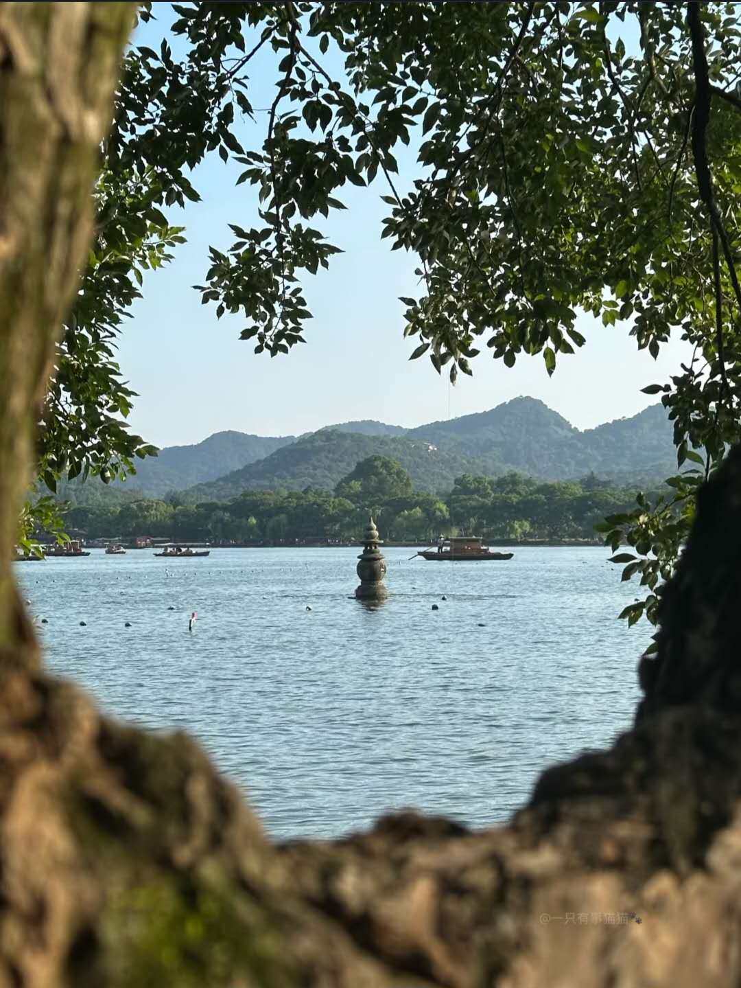 Weixin Image_20260312165608_1242_36.jpg