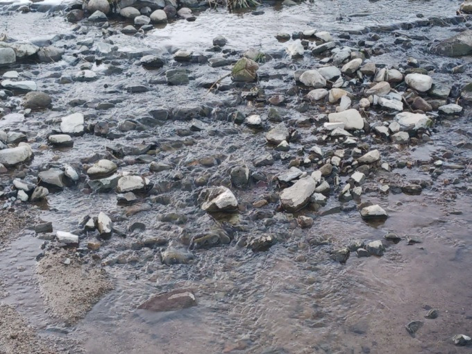 고통의 시간.jpg