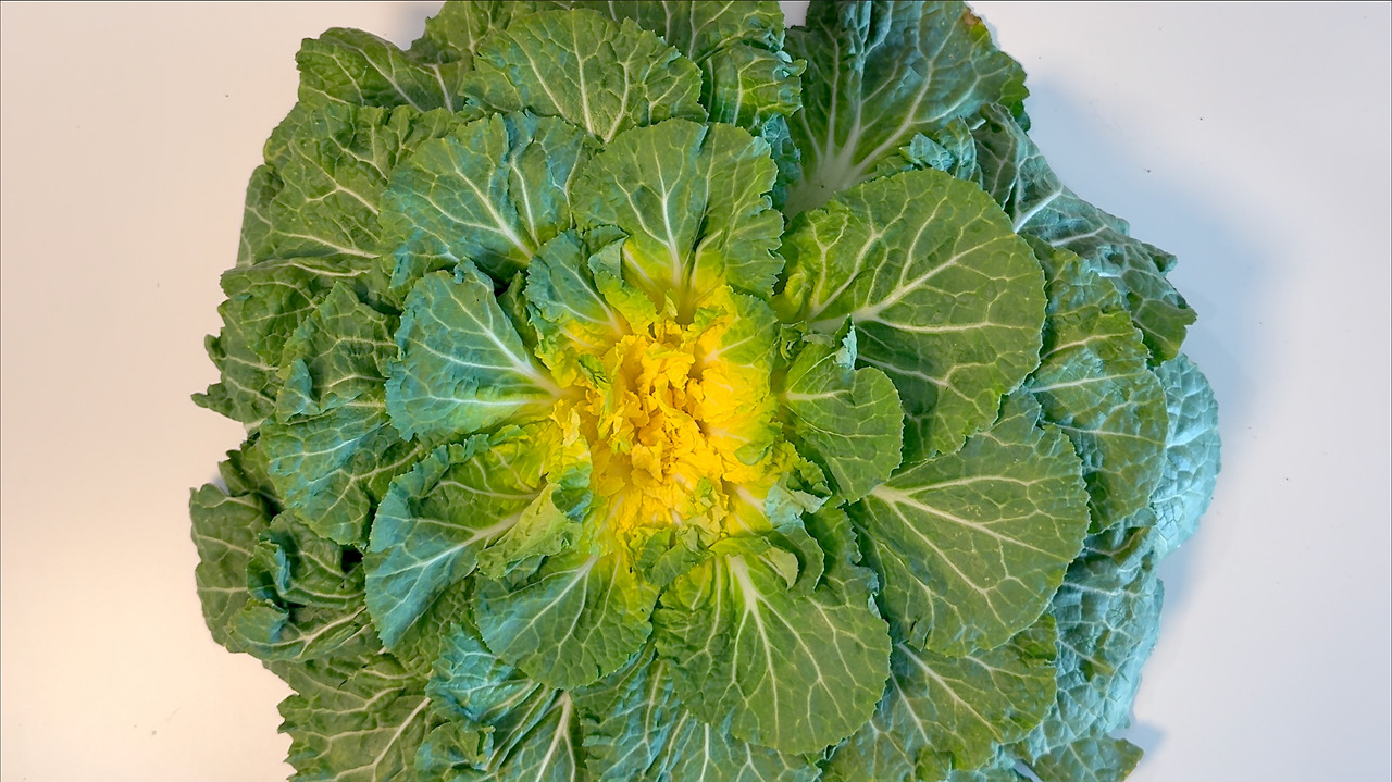 resize_20260228 Bomdong Bibimbap1.jpg