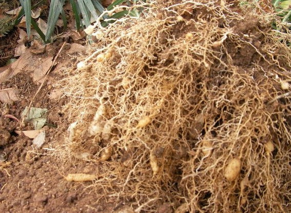 다운로드 (17).jpg