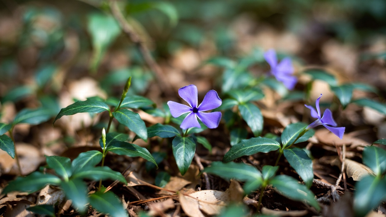 다운로드 (5).jpg