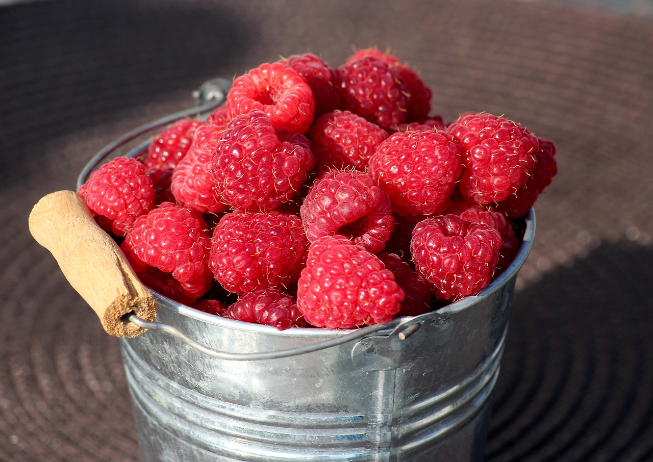 raspberries-4388440_1920.jpg