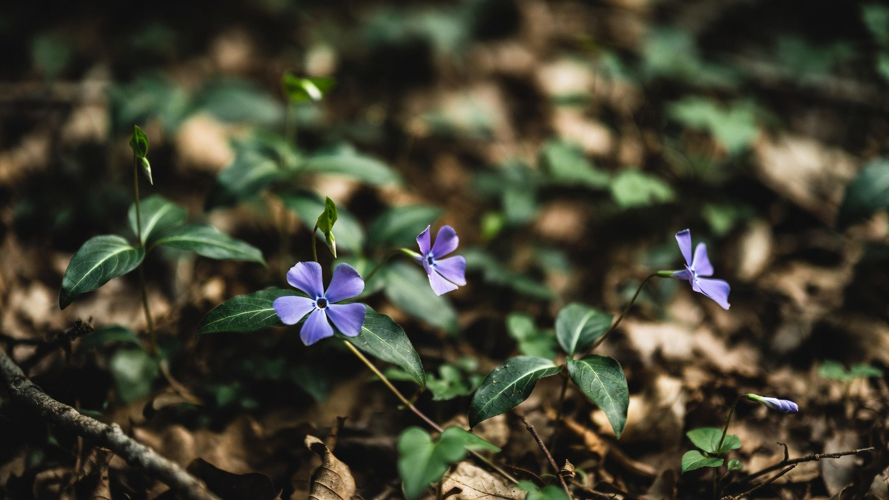 다운로드 (2).jpg