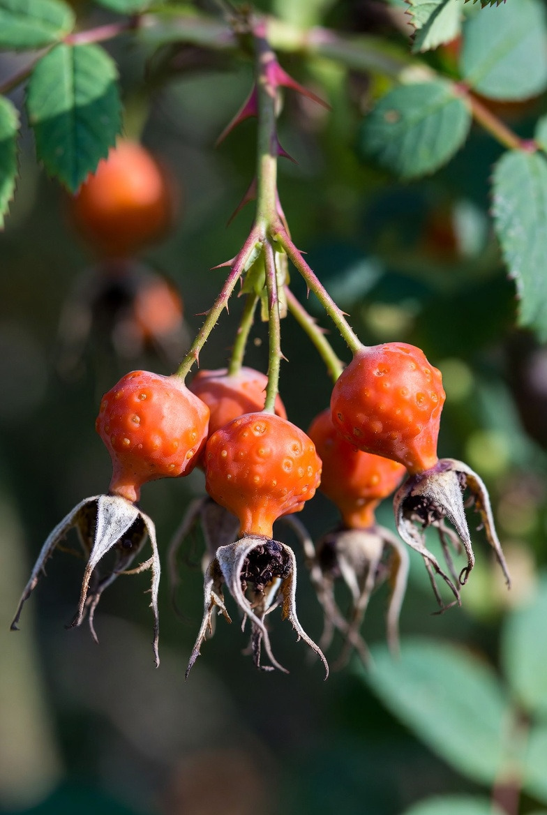 다운로드 (3).jpg