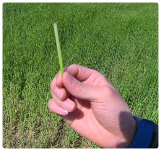 다운로드 (2).jpg