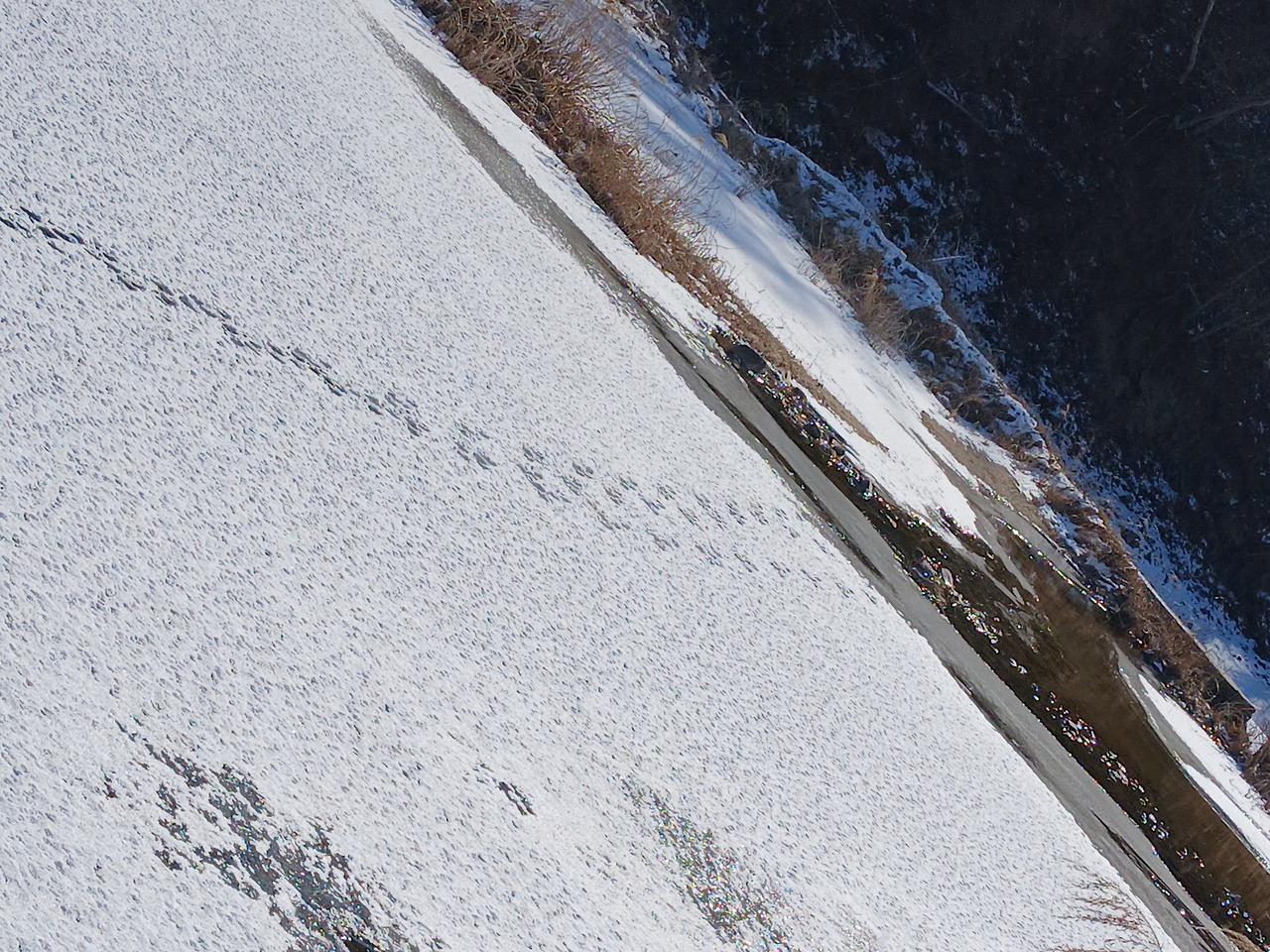 KakaoTalk_20260202_181814822_01 (1).jpg