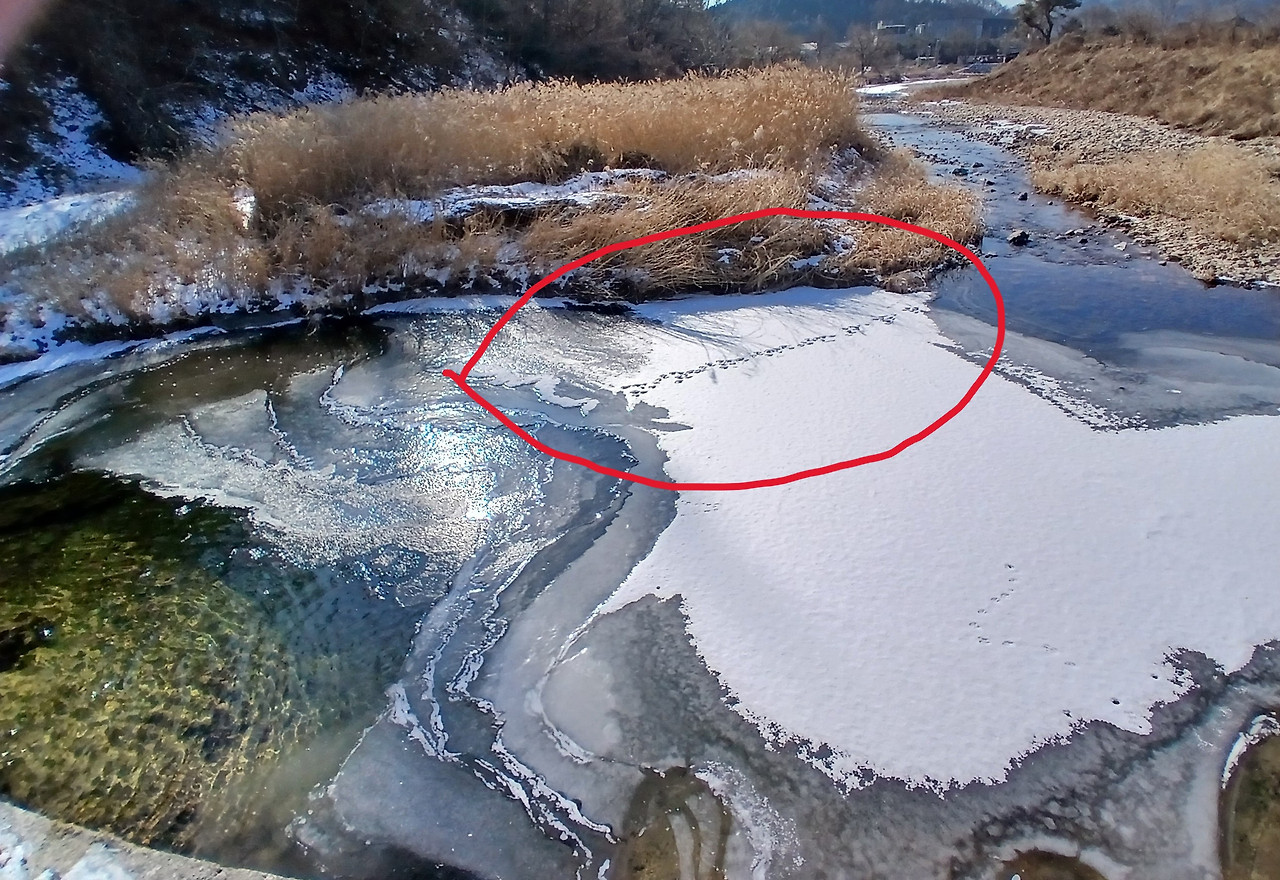 KakaoTalk_20260202_181814822_03 (1).jpg