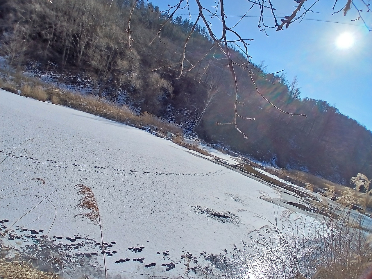 KakaoTalk_20260202_181814822 (1).jpg