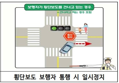 횡단보도 보행자.jpg