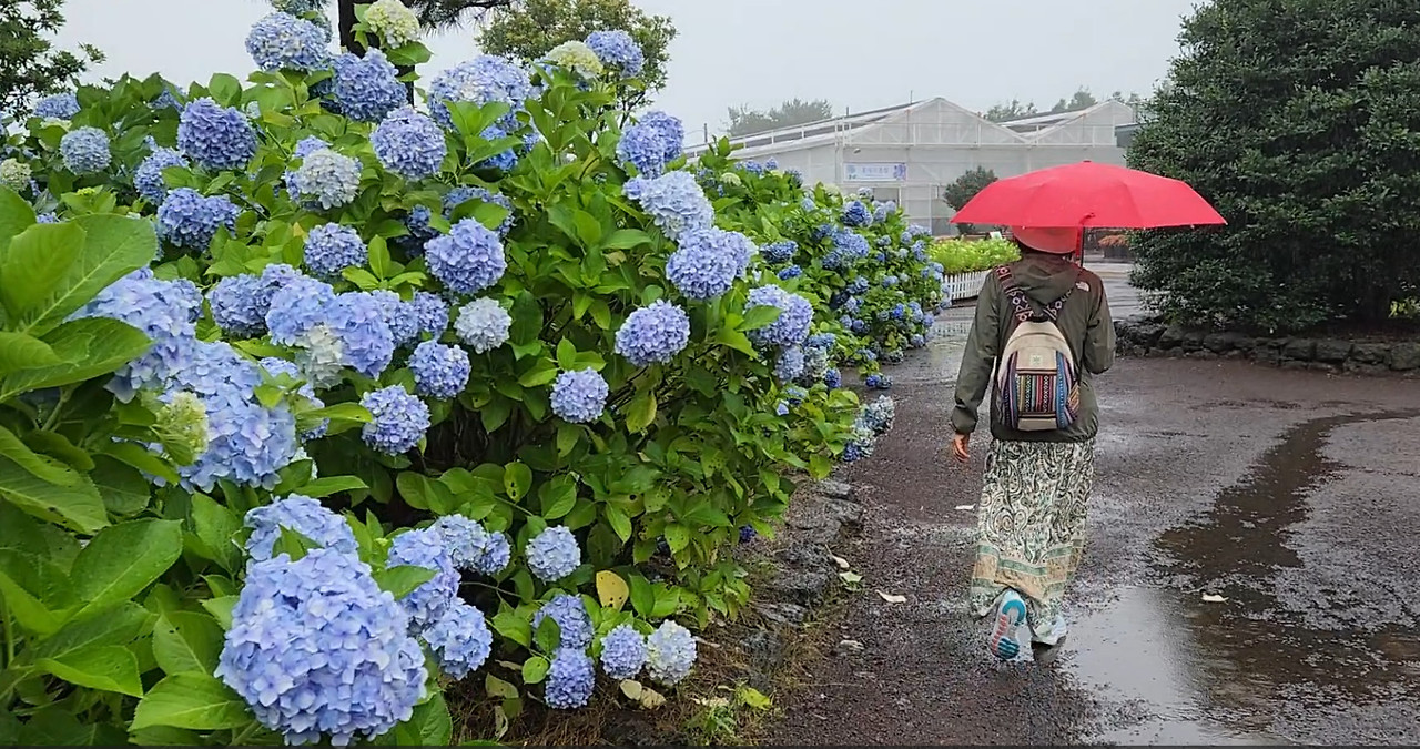 Cap 2026-04-07 10-44-37.jpg