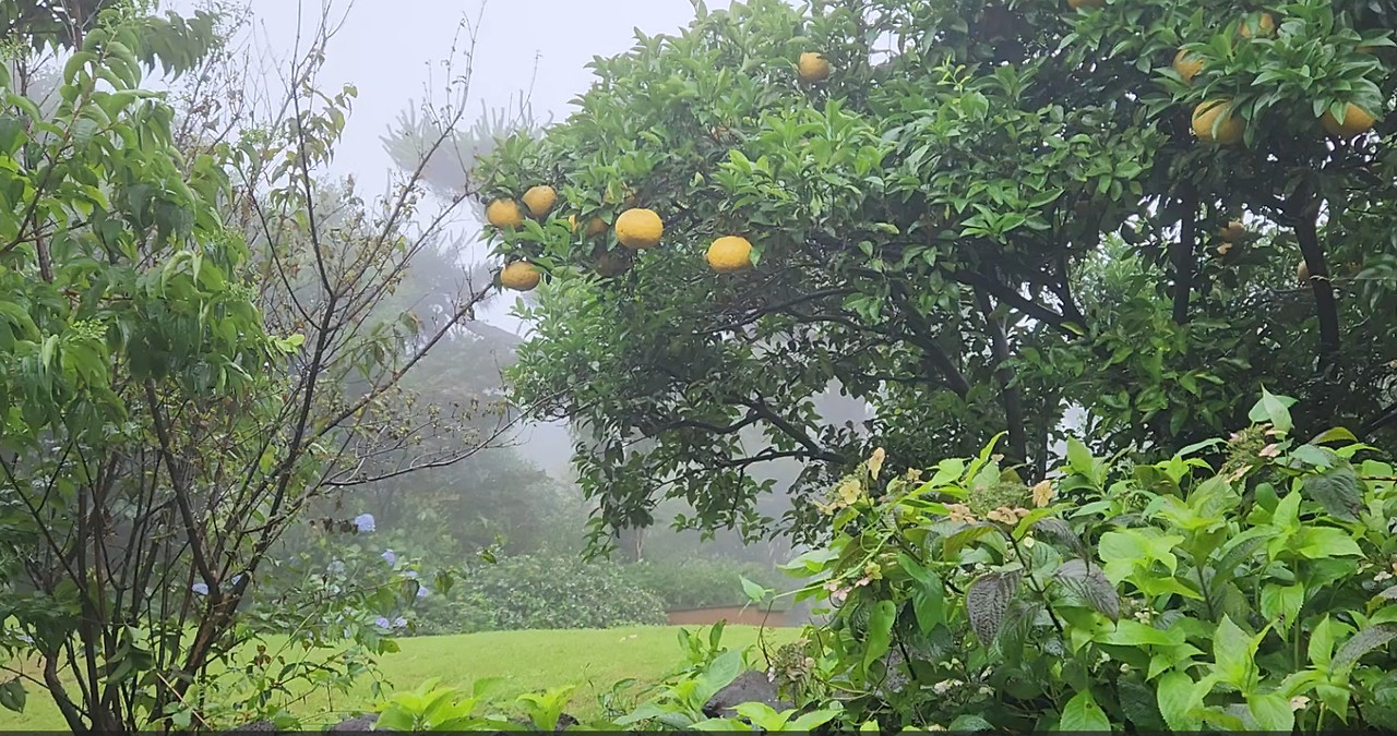 Cap 2026-04-07 10-43-57.jpg