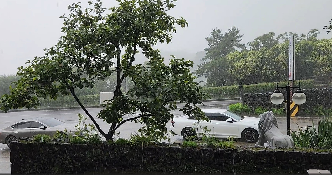 Cap 2026-04-07 10-42-35.jpg