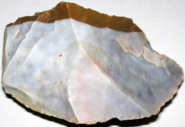 Flint_(Vanport_Flint,_Middle_Pennsylvanian;_Flint_Ridge,_Ohio,_USA)_286_James St. John.jpg