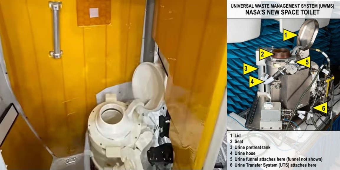 artemis III UMWS.jpg