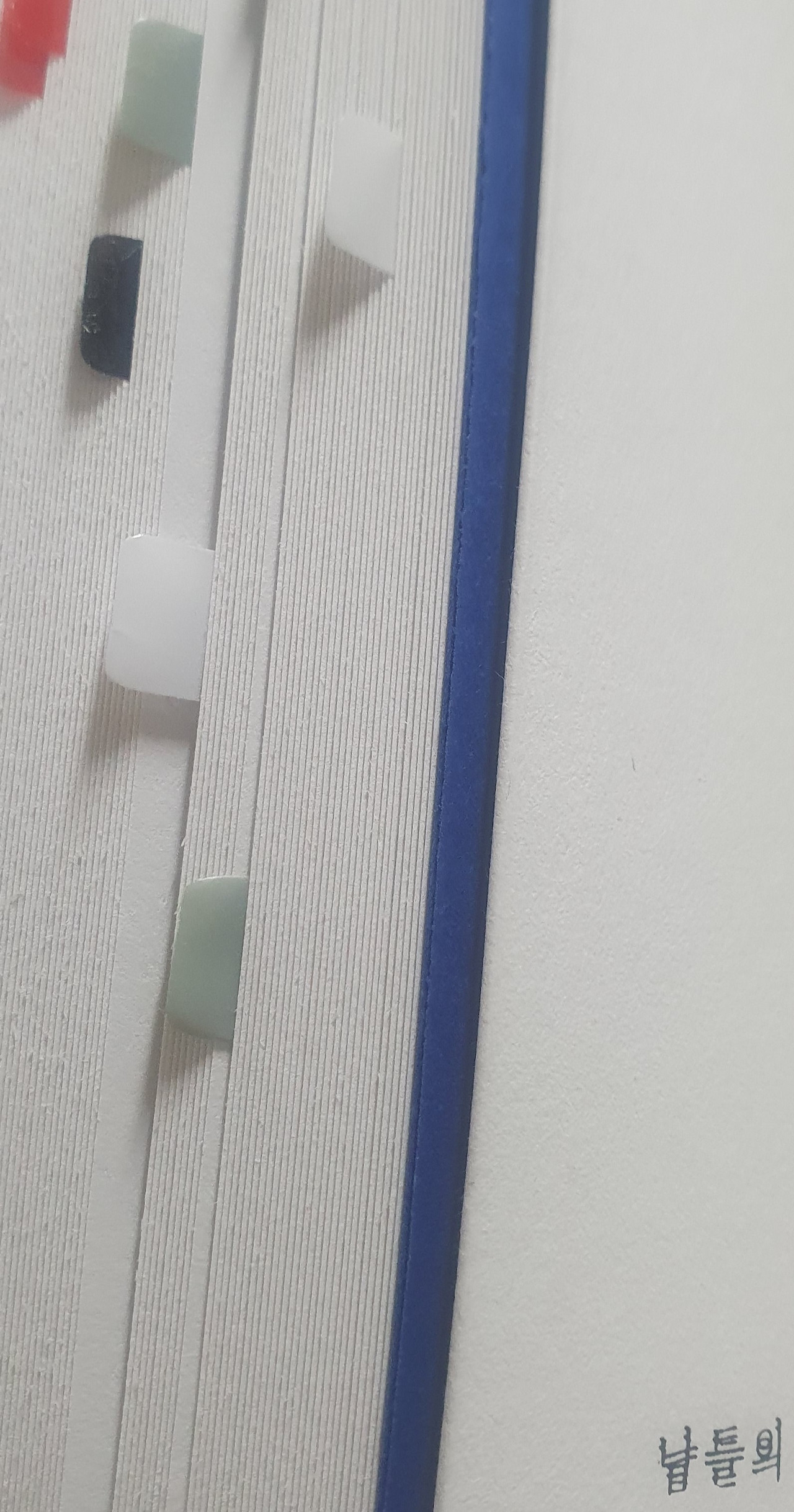 KakaoTalk_20260128_212828002.jpg 라이너쿤체.jpg