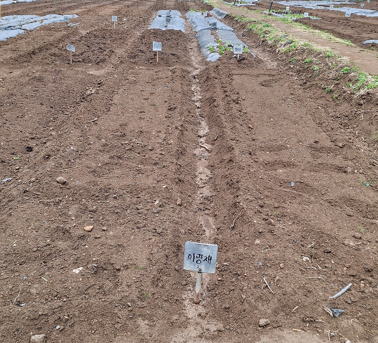 첫번째 사진 수정.jpg